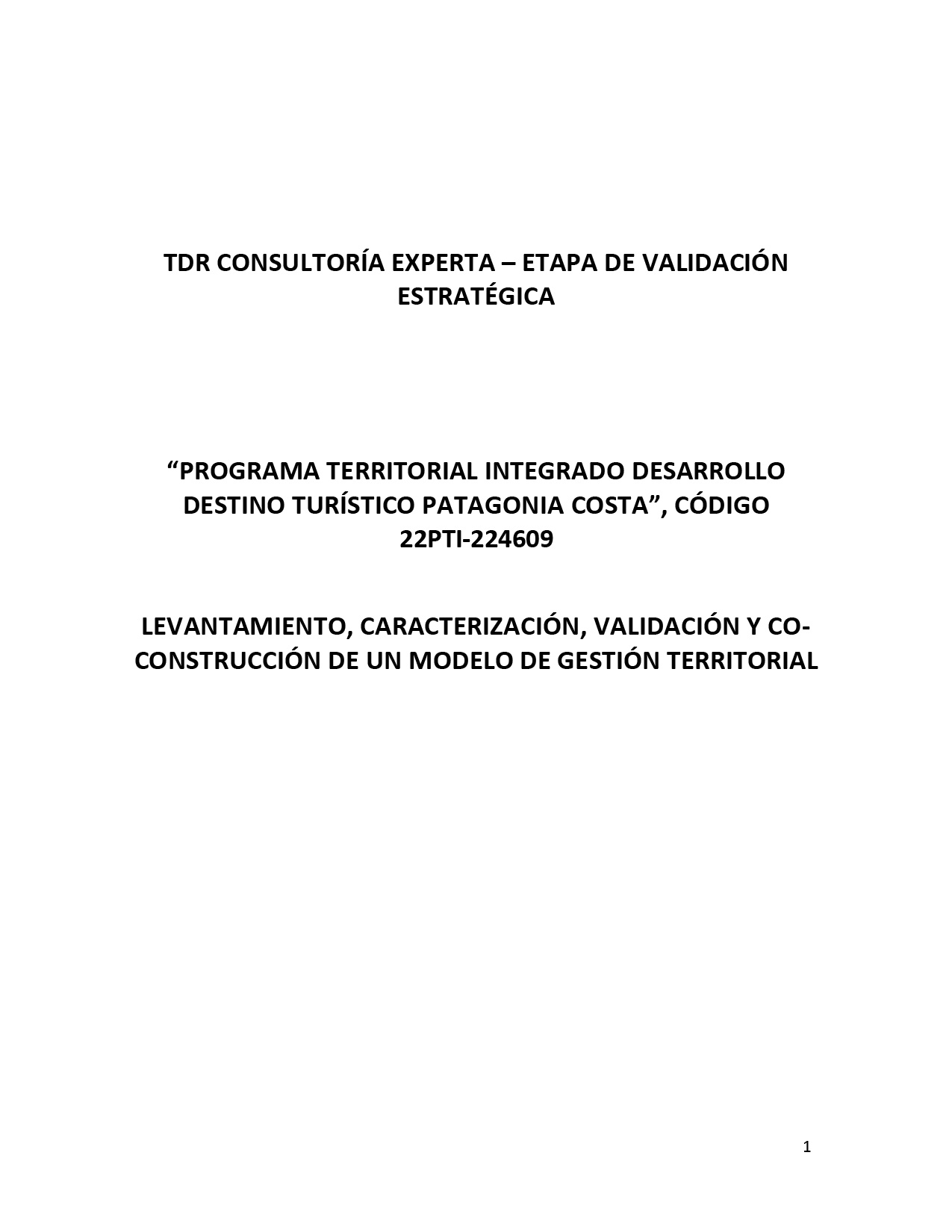 230104_TDR-Validacion-Estrategica PTI PATAGONIA COSTA FINALES-v2-01