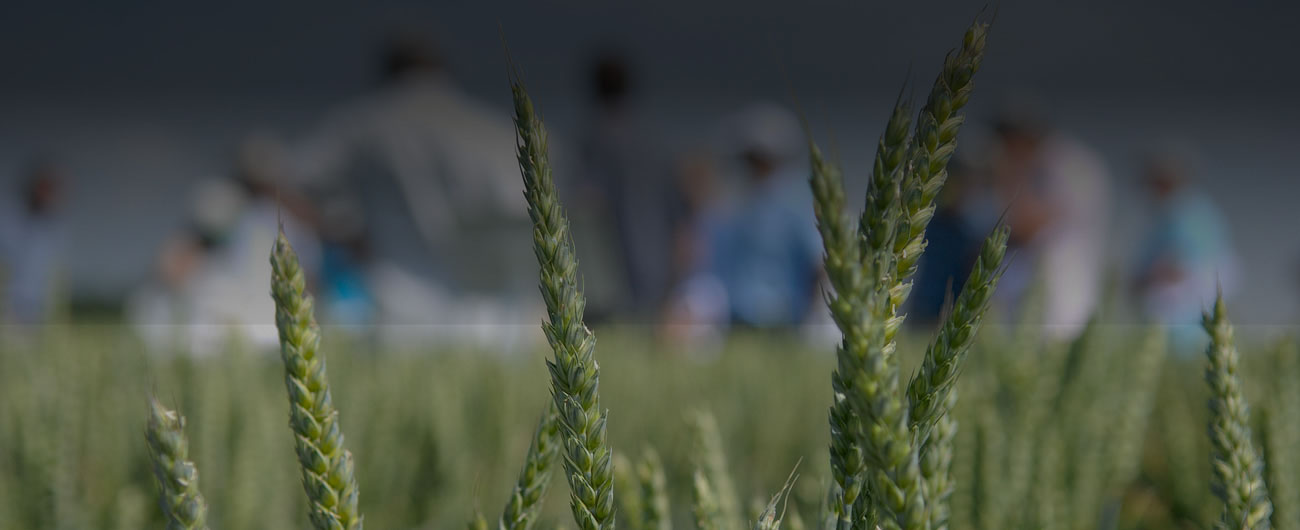 new-slider-copeval-desarrolla-capacitacion-v2