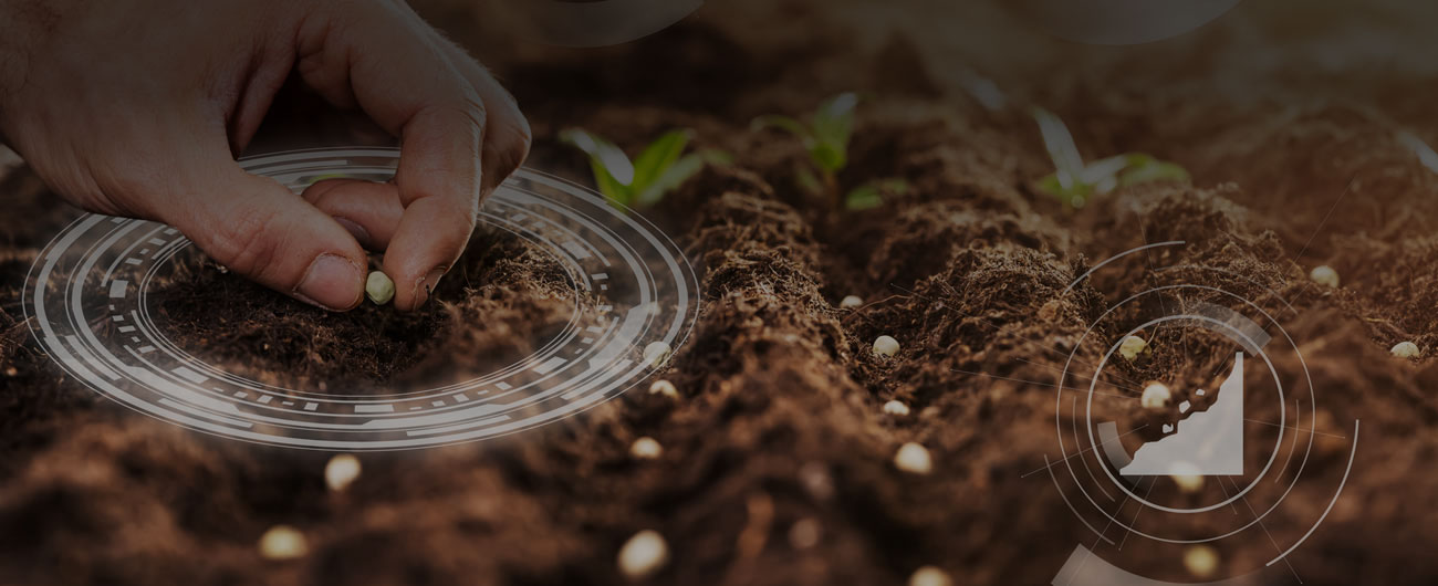 new-slider-copeval-desarrolla-emprendimiento-v2