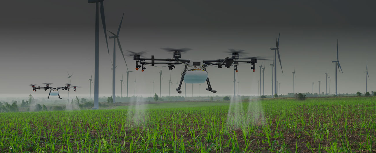 new-slider-copeval-desarrolla-innovacion-v2