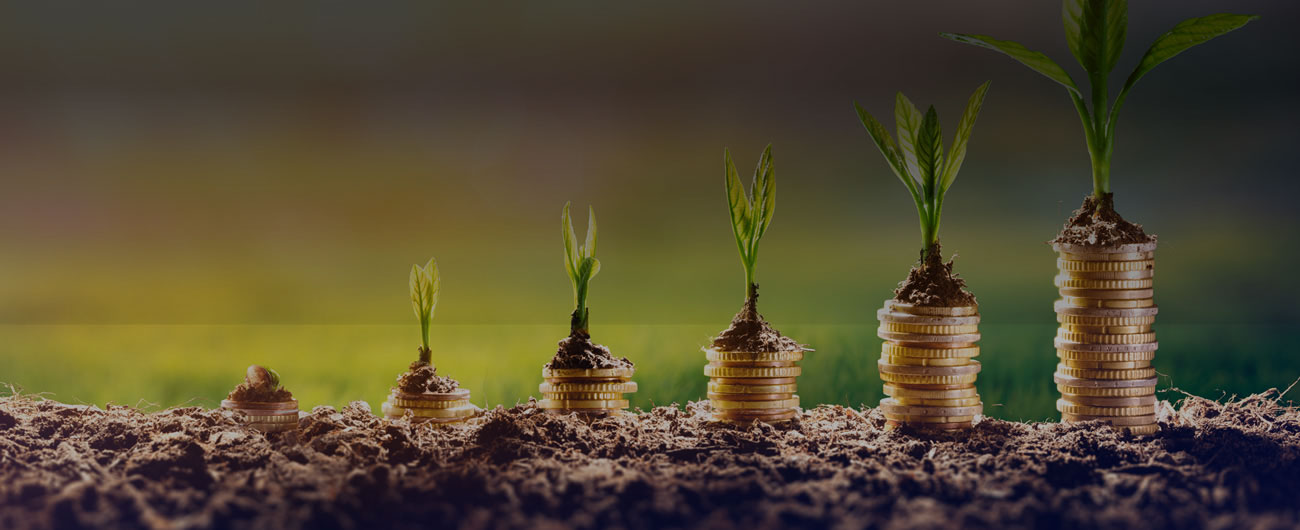 new-slider-copeval-desarrolla-inversion-v2