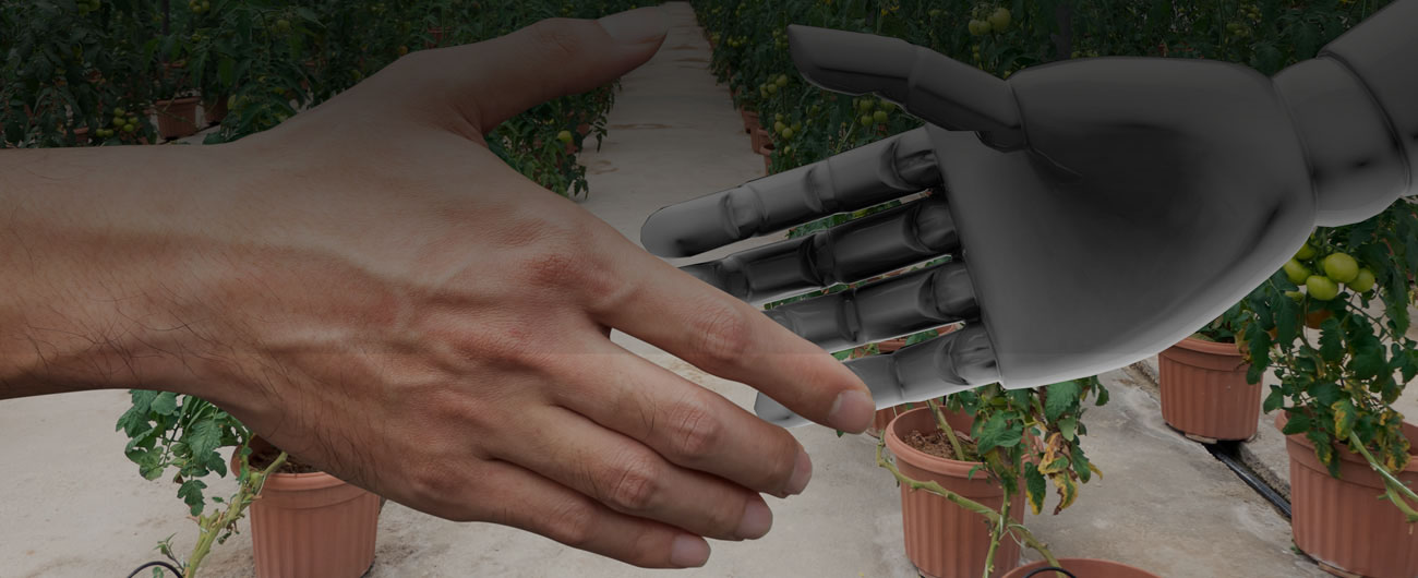 new-slider-copeval-desarrolla-transferencia-v2